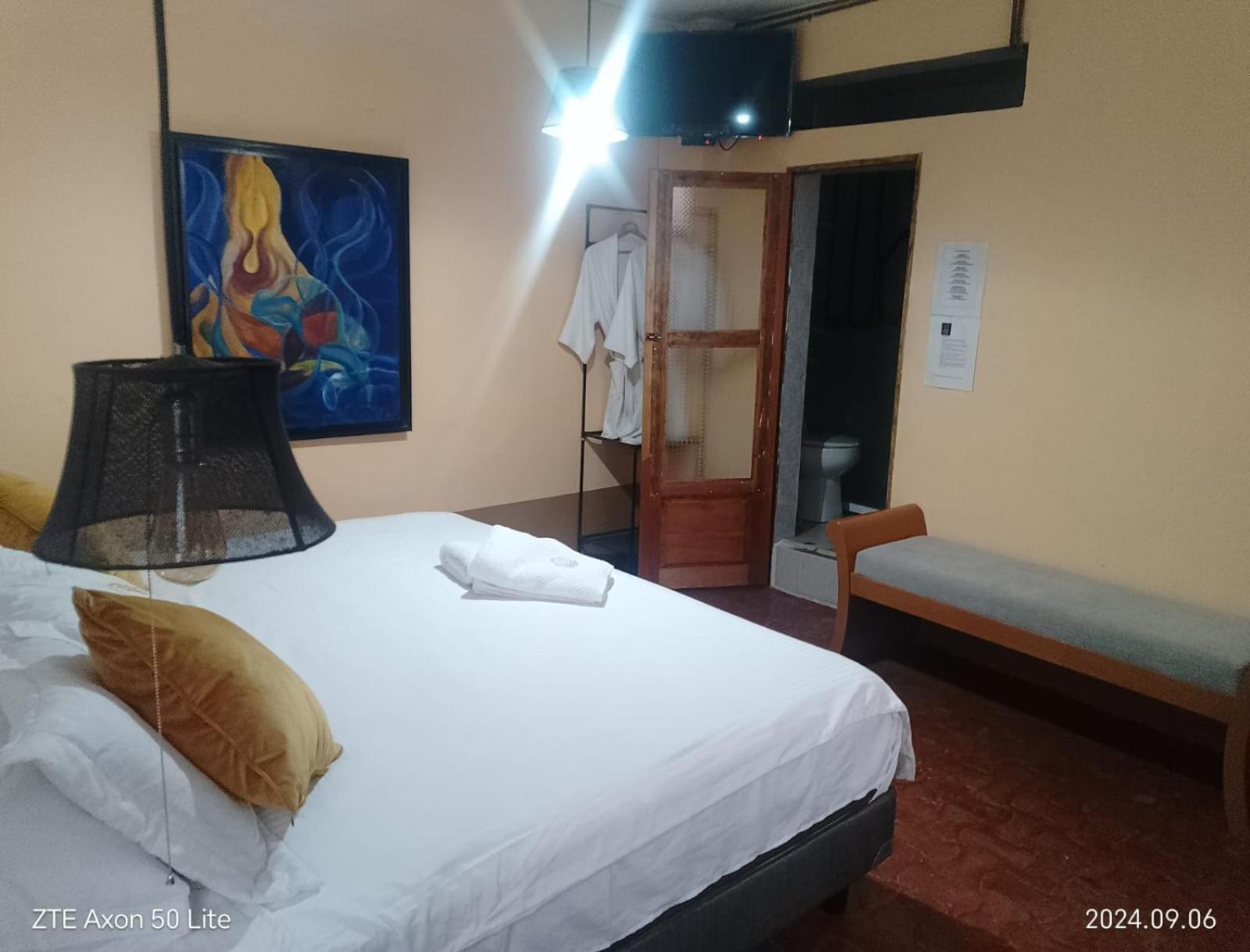 Aparthotel Sarita Centro Historico Sma ซานมิเกล เด อาเญนเด ภายนอก รูปภาพ